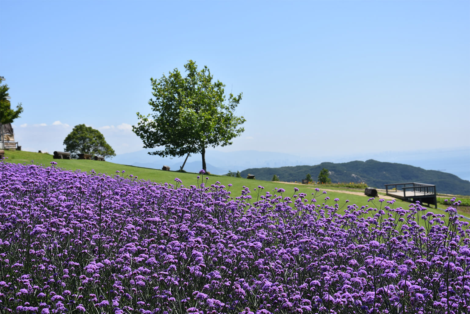 あわじ花さじき
